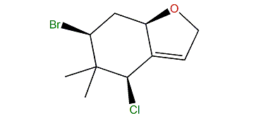Chondrocole A
